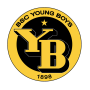 BSC Young Boys